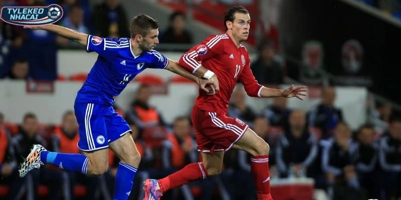 Phong độ Wales vs Bosnia-Herzegovina
